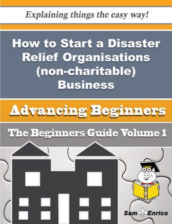 How to Start a Disaster Relief Organisations (non-charitable) Business (Beginners Guide)