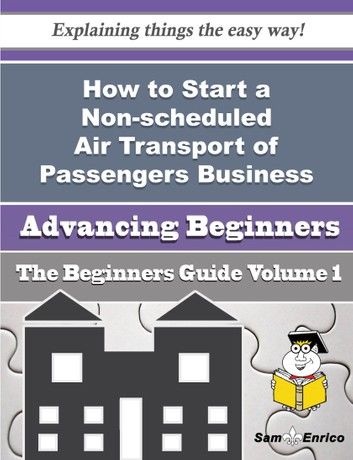 How to Start a Non-scheduled Air Transport of Passengers Business (Beginners Guide)