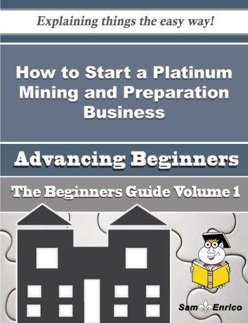 How to Start a Platinum Mining and Preparation Business (Beginners Guide)