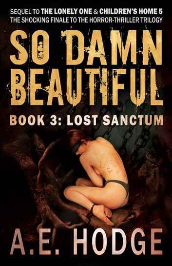 So Damn Beautiful: Lost Sanctum (So Damn Beautiful, #3)