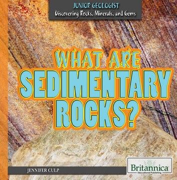 What Are Sedimentary Rocks?