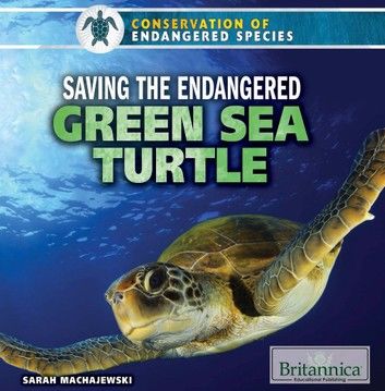 Saving the Endangered Green Sea Turtle