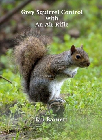 Grey Squirrel Control: With An Air Rifle