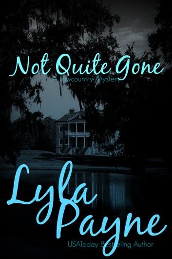 Not Quite Gone (A Lowcountry Mystery)