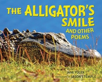The Alligator\