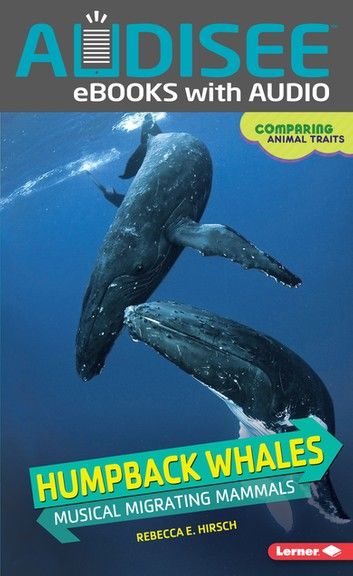 Humpback Whales