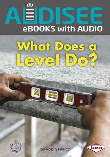 What Does a Level Do?