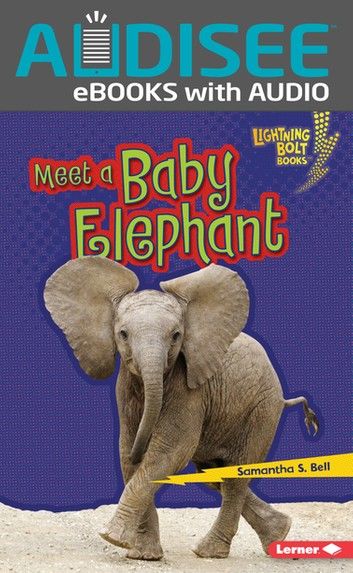 Meet a Baby Elephant