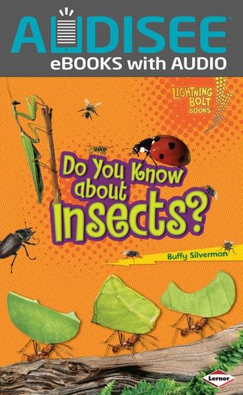 Do You Know about Insects?