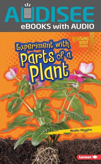 Experiment with Parts of a Plant