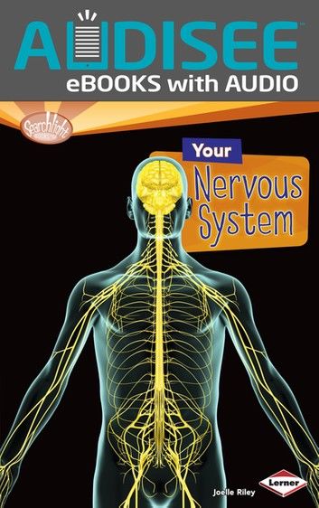 Your Nervous System