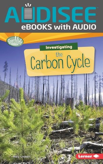 Investigating the Carbon Cycle