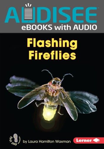 Flashing Fireflies