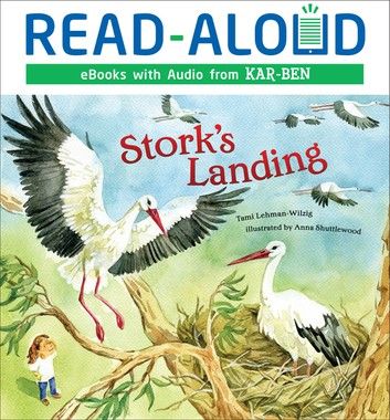 Stork\