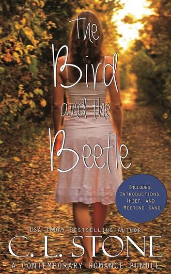 The Academy - The Bird and the Beetle