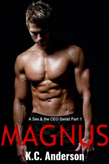 Magnus Part 1: A Sex & the CEO Serial
