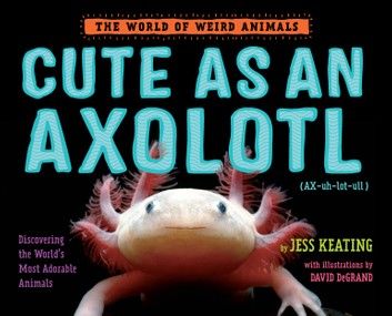 Cute as an Axolotl