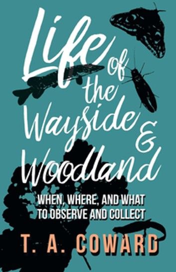 Life of the Wayside and Woodland
