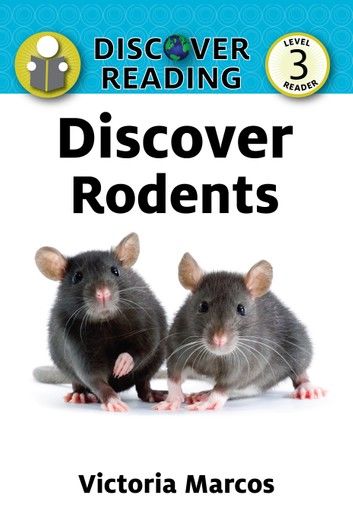 Discover Rodents