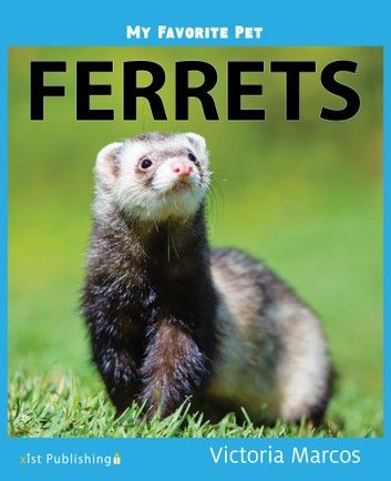 My Favorite Pet: Ferrets