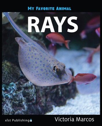 My Favorite Animal: Rays