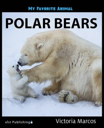 My Favorite Animal: Polar Bears