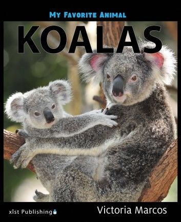 My Favorite Animal: Koalas