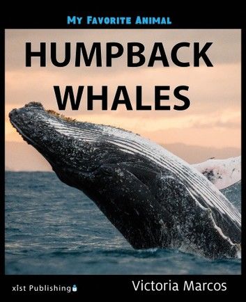 My Favorite Animal: Humpback Whales