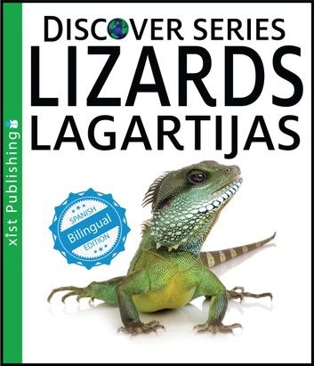 Lizards / Lagartijas