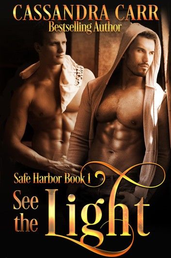 See the Light (Safe Harbor book 1)