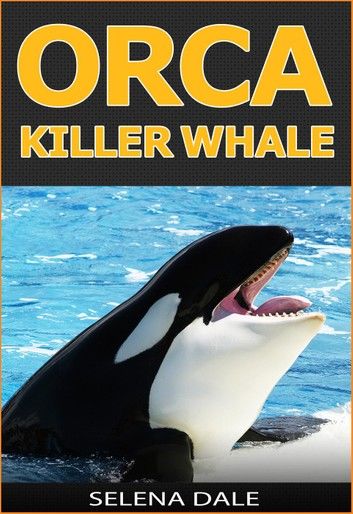 Orca - Killer Whale