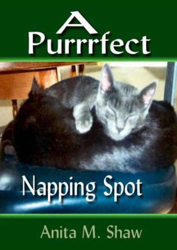 A Purrrfect Napping Spot