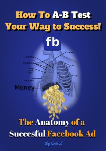 How To A-B Test Your Way to Success! The Anatomy of a Successful Facebook Ad