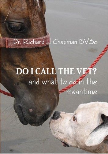 Do I Call the Vet? and what to do in the meantime