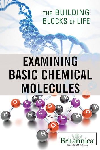 Examining Basic Chemical Molecules