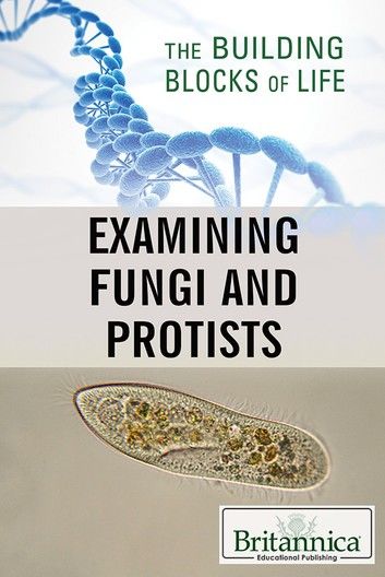 Examining Fungi and Protists