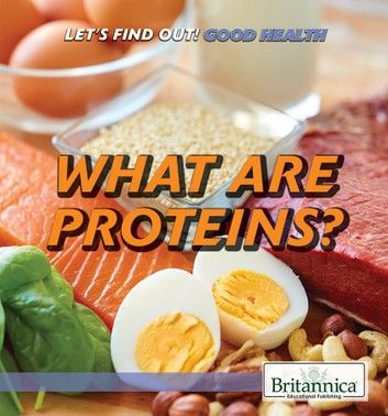 What Are Proteins?