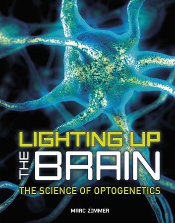 Lighting Up the Brain