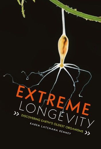 Extreme Longevity