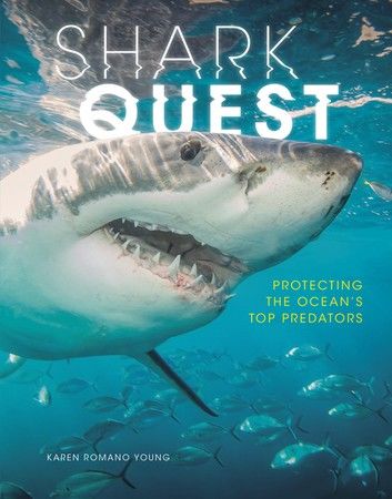 Shark Quest