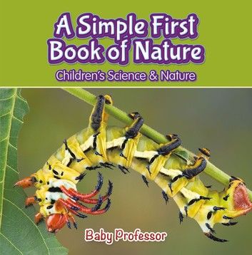 A Simple First Book of Nature - Children\