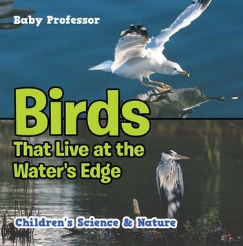 Birds That Live at the Water\