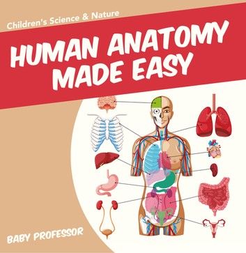 Human Anatomy Made Easy - Children\