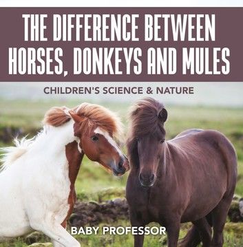 The Difference Between Horses, Donkeys and Mules | Children\