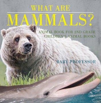 What are Mammals? Animal Book for 2nd Grade | Children\