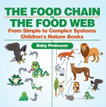 The Food Chain vs. The Food Web - From Simple to Complex Systems | Children\