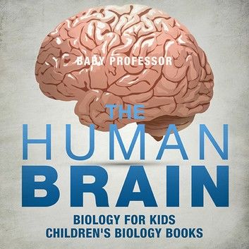 The Human Brain - Biology for Kids | Children\