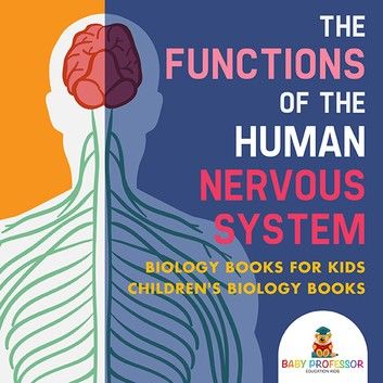 The Functions of the Human Nervous System - Biology Books for Kids | Children\