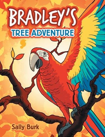 Bradley’S Tree Adventure