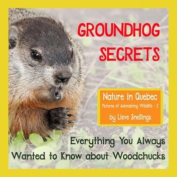 Groundhog Secrets: Everything You Always Wanted to Know about Woodchucks